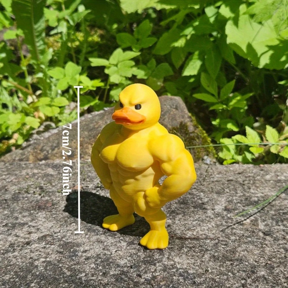 근육 오리 조각상 -3D 데스크탑 장식, 귀여운 책장  - Home Decor Outdoor 리뷰 및 가격